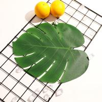 uploads/erp/collection/images/Home Garden/CongDing/XU0611685/img_b/XU0611685_img_b_4